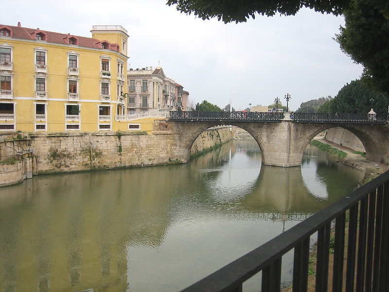 Río Segura a su paso por el Puente Viejo de Murcia